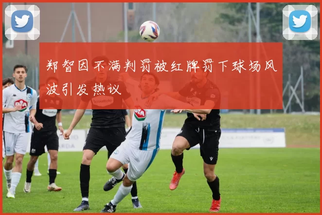 郑智因不满判罚被红牌罚下球场风波引发热议