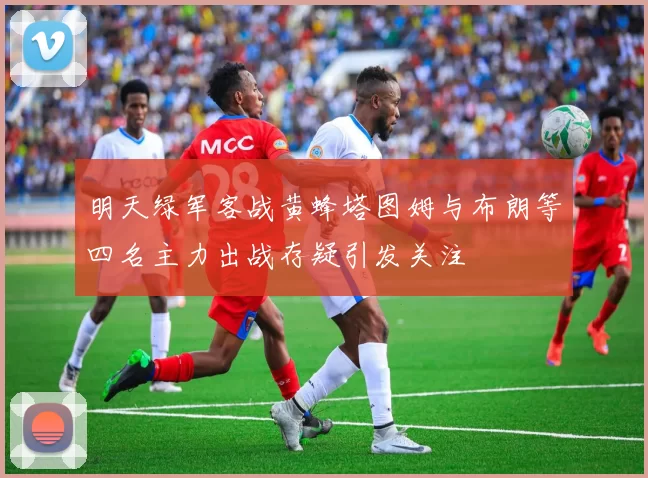 明天绿军客战黄蜂塔图姆与布朗等四名主力出战存疑引发关注