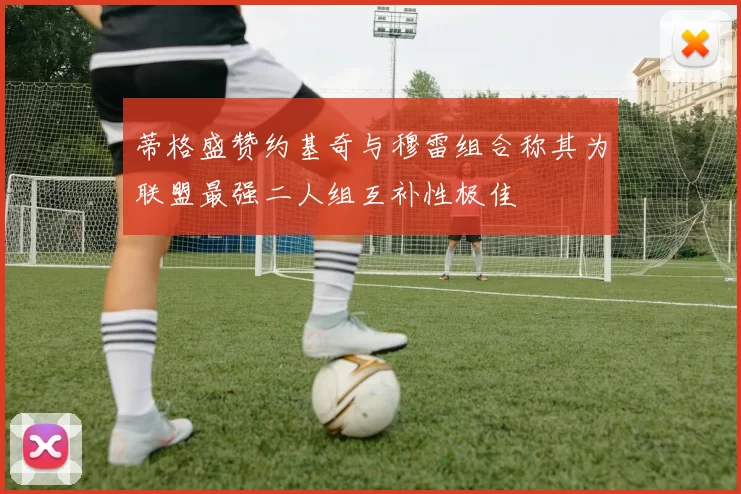 蒂格盛赞约基奇与穆雷组合称其为联盟最强二人组互补性极佳
